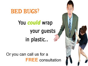 marketing, advertising, website design and development agency, madison, wi