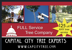 website design and development, photography, post cards