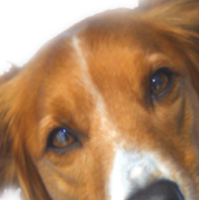 marketing, advertising, website design and development agency, madison, wi