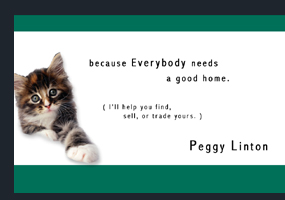 website design and development, photography, post cards