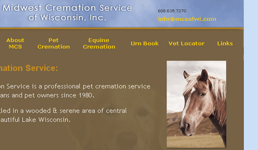 website design and development, photography, post cards