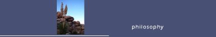 advertising ad marketing agency in Madison Wisconsin